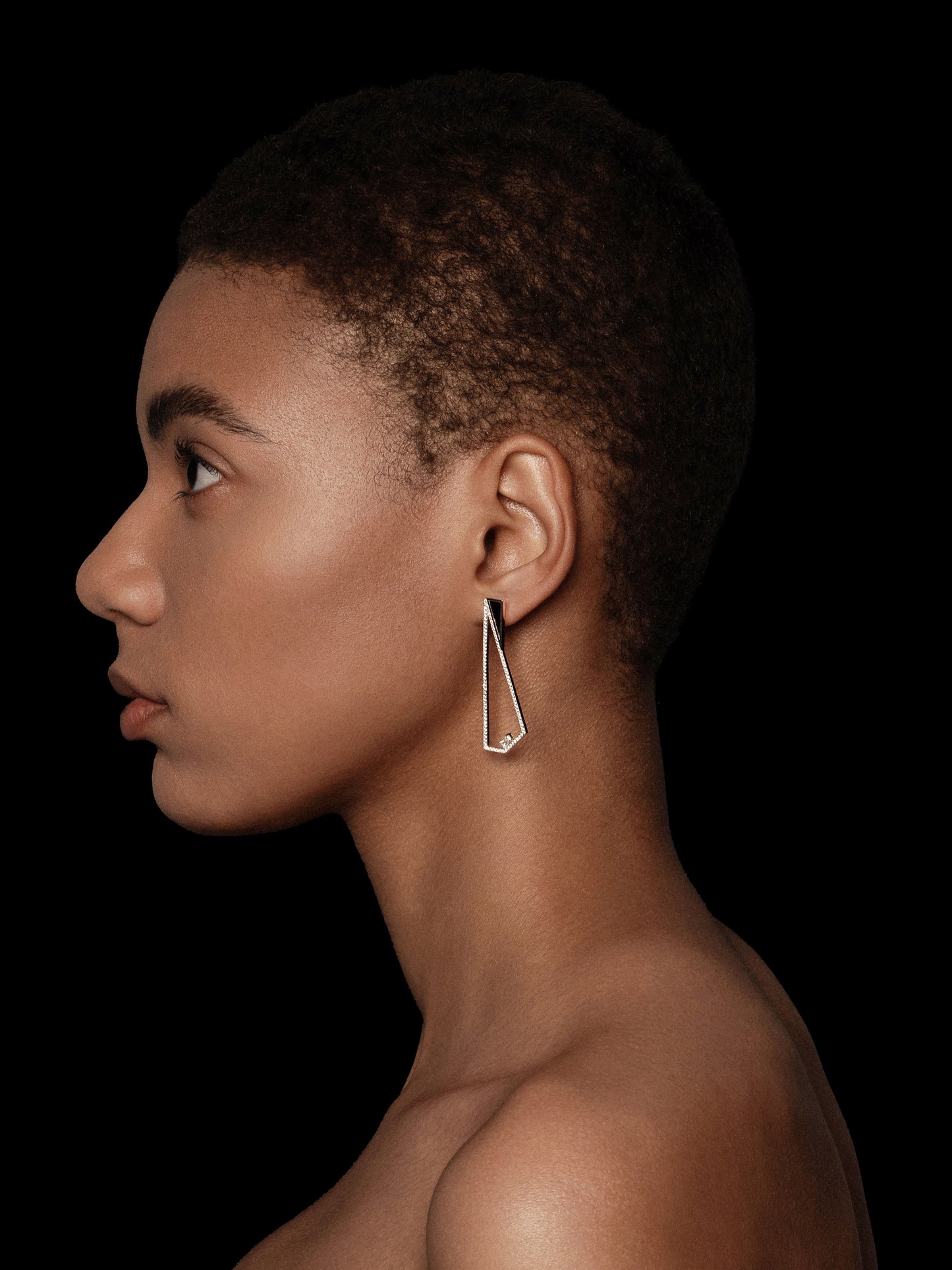 Triangle Geometry Petrified Wood Pavé Bezel Statement Earrings