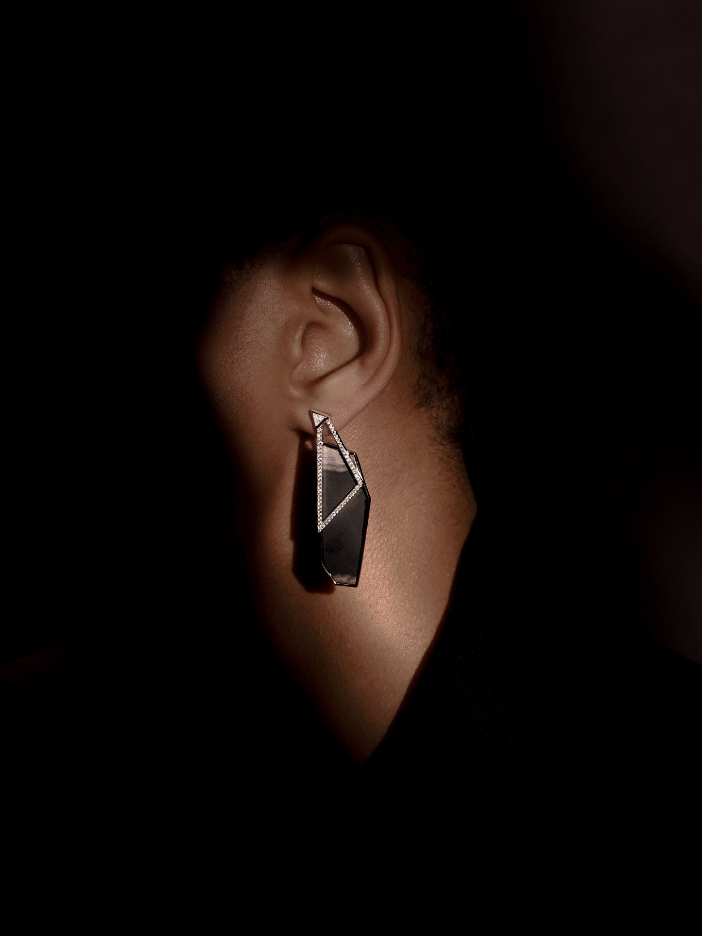 Hexagon Petrified Wood Pavé Bezel Statement Earrings
